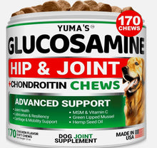 Load image into Gallery viewer, YUMA'S Glucosamine Chondroitin Hip and Joint Support Supplement for Dogs.  170 Chews