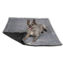 Load image into Gallery viewer, DGS Pet Products Itchy Witchy Essential Oils Blanket Medium Black 30 x 40 x 0.5 For Pet With Love