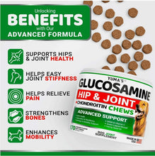 Load image into Gallery viewer, YUMA'S Glucosamine Chondroitin Hip and Joint Support Supplement for Dogs.  170 Chews