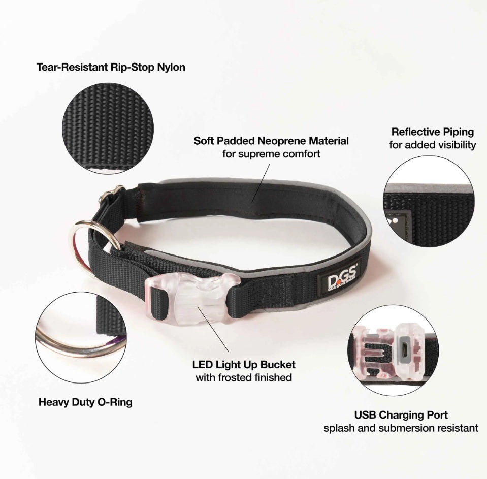 DGS Pet Products Comet Rechargeable Light Up Dog Collar Large Black 20 - 25 x 1 For Pet With Love