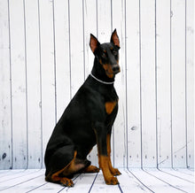 Load image into Gallery viewer, Coastal Pet Products Titan Training Chain Collar 4.0mm Silver