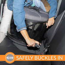 Load image into Gallery viewer, K&H Pet Products Mod Bird Carrier Travel Cage Gray 17 x 17 x 15.5