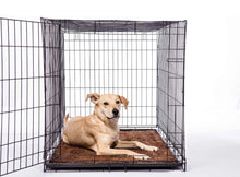 Load image into Gallery viewer, DGS Pet Products Dirty Dog Door Mat Small Brown 23 x 16 x 2 For Pet With Love