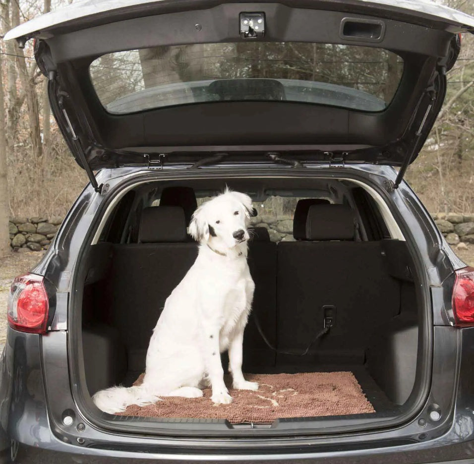DGS Pet Products Dirty Dog Door Mat Large Mocha Brown 35 x 26 x 2 For Pet With Love