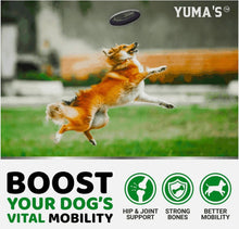 Load image into Gallery viewer, YUMA'S Glucosamine Chondroitin Hip and Joint Support Supplement for Dogs.  170 Chews