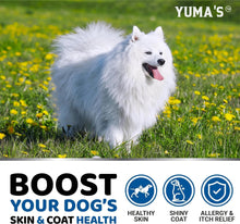 Load image into Gallery viewer, YUMA'S Advanced Strength Omega 3 Fish Oil Skin and Coat Health Supplement for Dogs (2 Pack) 340 Chews