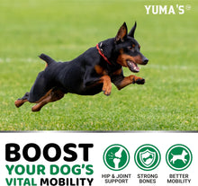 Load image into Gallery viewer, YUMA'S Hemp and Glucosamine Hip and Joint Support Supplement for Dogs. 170 Chews