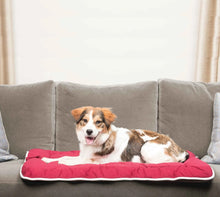 Load image into Gallery viewer, DGS Pet Products Pet Cotton Canvas Sleeper Cushion Extra Large Berry 28 x 42 x 1 For Pet With Love