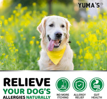 Load image into Gallery viewer, YUMA'S Advanced Allergy Itching Skin Relief for Dogs. Dry Skin & Hot Spots Treatment with Omega 3 Fish Oil. (2Pack) 340 Chews