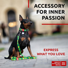 Load image into Gallery viewer, Nylon Dog Leash for Small Dogs and Medium Dogs 4 Ft Strong Dog Leash for For Pet With Love