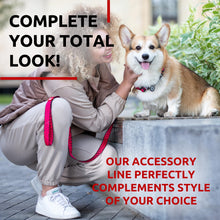 Load image into Gallery viewer, Nylon Dog Leash for Small Dogs and Medium Dogs 4 Ft Strong Dog Leash for For Pet With Love