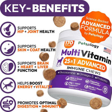 Load image into Gallery viewer, PETSOLOGY Multivitamin Chews for Dogs with Glucosamine, Omega 3 & Probiotics.  (2 Pack) 340 Chews