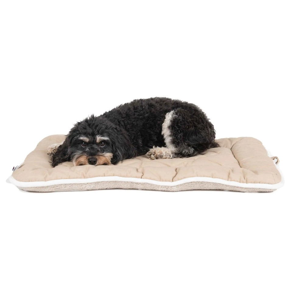 DGS Pet Products Pet Cotton Canvas Sleeper Cushion Extra Extra Large Sand 30 x 48 x 1 For Pet With Love
