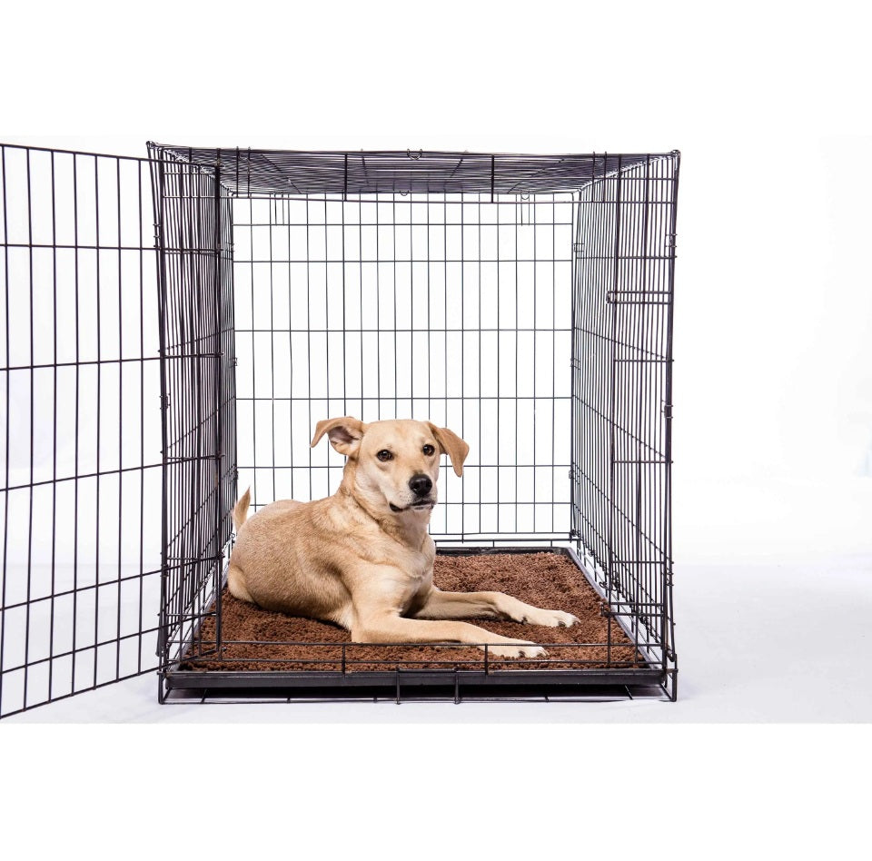 DGS Pet Products Dirty Dog Door Mat Medium Almond 31 x 20 x 2 For Pet With Love