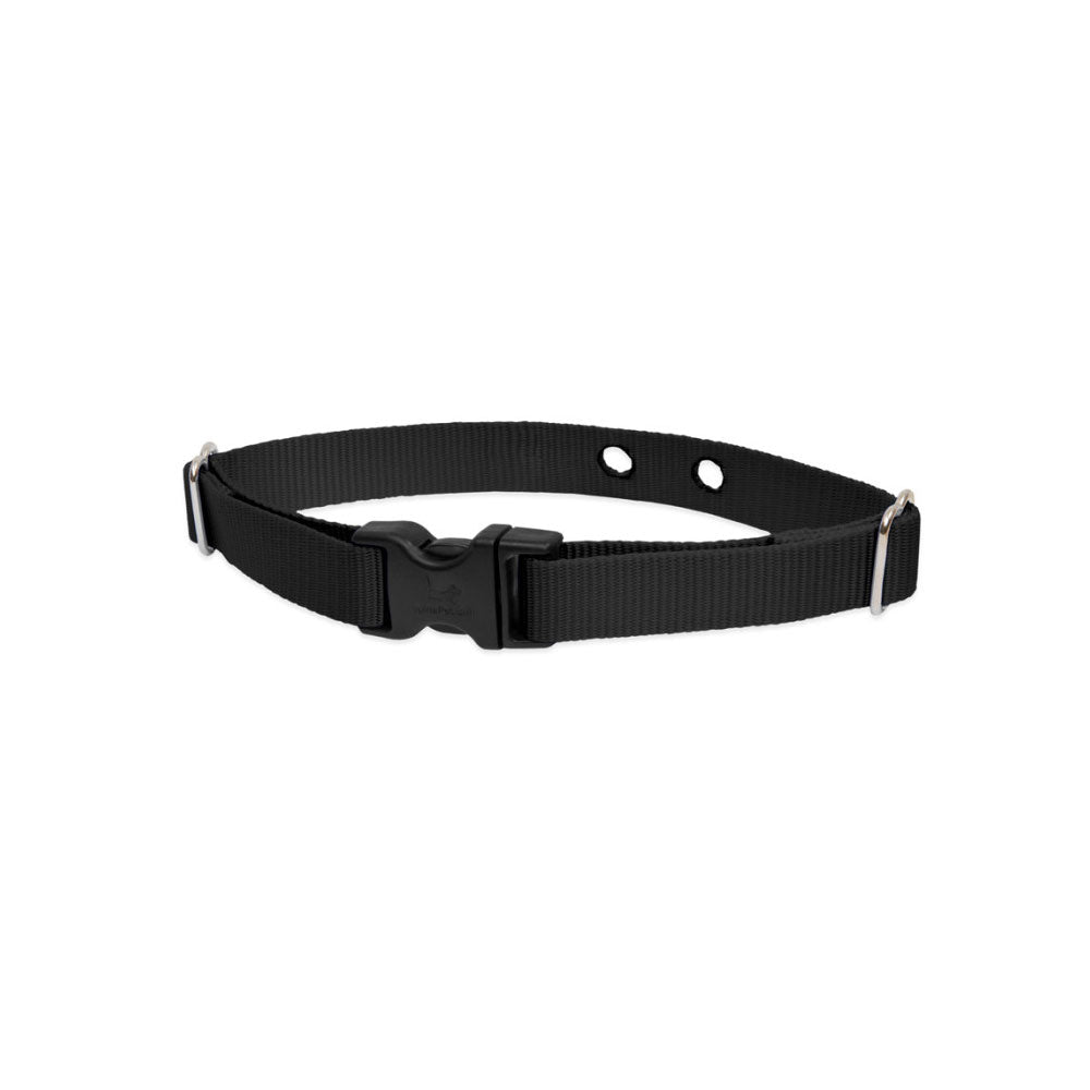 Lupine Pet 2 Hole Adjustable Nylon Replacement Collar Strap 3/4 inch - MEDIUM For Pet With Love