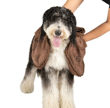 Load image into Gallery viewer, DGS Pet Products Dirty Dog Shammy Towel X-Large