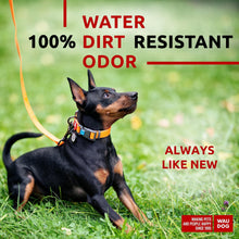 Load image into Gallery viewer, WAUDOG Adjustable Waterproof Dog Collar with Plastic Buckle and QR Dog Tag. ORANGE. SMALL