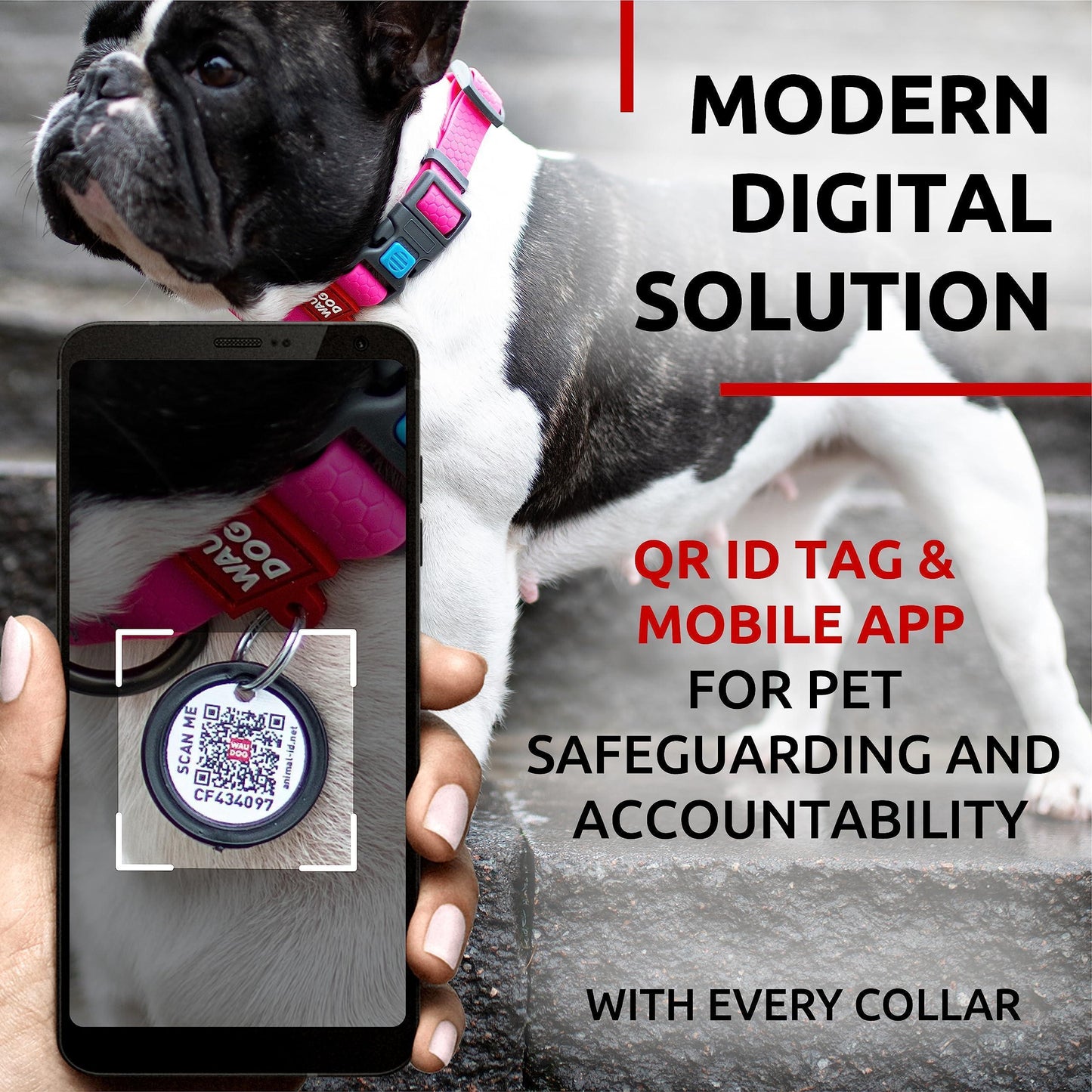 WAUDOG Adjustable Waterproof Heavy Duty Dog Collar with Durable Plastic Buckle and QR Dog Tag. MEDIUM (Pink) For Pet With Love