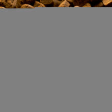 Load image into Gallery viewer, VETRICA Dog Itching Skin Relief and Seasonal Allergies Support Supplement 130 Ct For Pet With Love