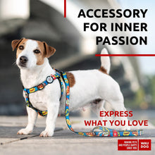 Load image into Gallery viewer, Nylon Dog Leash for Small Dogs and Medium Dogs 4 Ft Strong Dog Leash for For Pet With Love