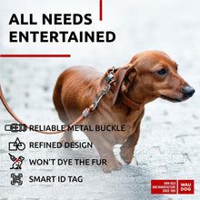 Load image into Gallery viewer, WAUDOG Long Lasting Leather Dog Collar for Large Dogs Medium & Small Dogs Adjustable Classic Puppy Collars for Large Breed Dogs Boy & Girl Dog Collars with Durable Buckle D Ring & QR Dog Tag For Pet With Love