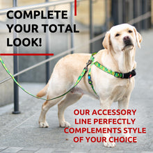Load image into Gallery viewer, WAUDOG Nylon Dog Leash for Small Dogs and Medium Dogs 4 Ft Strong Dog Leash For Pet With Love