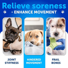 Load image into Gallery viewer, Artullano Canine Hip and Joint Supplement with Chondroitin, Hemp Oil, MSM 120 Ct For Pet With Love