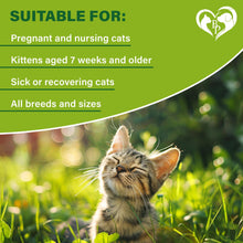 Load image into Gallery viewer, Beloved Pets Natural Flea & Tick Collar for Cats. 12 Months Control of Best Prevention & Safe Treatment with Essential Oil Repellent (1 Count)