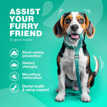 Load image into Gallery viewer, CHEWIA NO POO Coprophagia Deterrent for Dogs Duck Flavor Travel Pack 5 Oz For Pet With Love