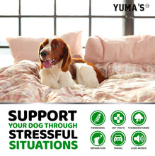 Load image into Gallery viewer, YUMA'S Advanced Hemp Dog Calming Anxiety Relief, Separation Aid, Stress, Hip and Joint Supplement for Canine Health Support Treats (170 Treats. Beef Flavor) For Pet With Love