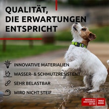 Load image into Gallery viewer, WAUDOG Adjustable Waterproof Heavy Duty Dog Collar with Durable Metal Clasp and QR Dog Tag. SMALL (Green) For Pet With Love