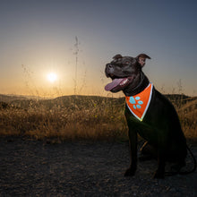 Load image into Gallery viewer, SafetyPUP XD Hi Visibility Reflective Blaze Orange Bandana for Pets XLARGE For Pet With Love