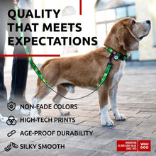 Load image into Gallery viewer, WAUDOG Nylon Dog Leash for Small Dogs and Medium Dogs 4 Ft Strong Dog Leash For Pet With Love