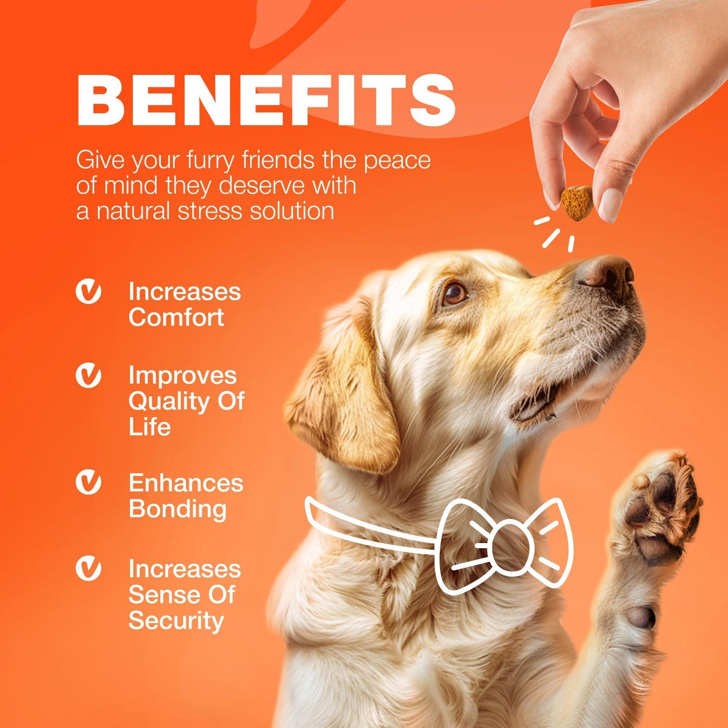 CHEWIA Hemp Glucosamine Chondroitin Hip and Joint Supplement for Dogs 180 Ct For Pet With Love