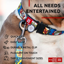 Load image into Gallery viewer, Nylon Dog Leash for Small Dogs and Medium Dogs 4 Ft Strong Dog Leash for For Pet With Love