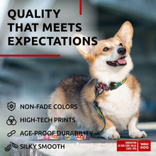 Load image into Gallery viewer, Nylon Dog Leash for Small Dogs and Medium Dogs 4 Ft Strong Dog Leash for For Pet With Love