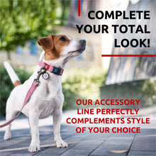 Load image into Gallery viewer, Recycled Cotton Dog Leash 6 Ft 10 Ft Eco Friendly Collar for Small Medium & For Pet With Love