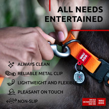 Load image into Gallery viewer, Waterproof Dog Leash 4 Ft 6 Ft Anti Slip Dog Leash for Large Dogs Small and For Pet With Love