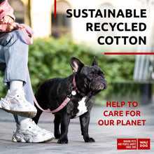 Load image into Gallery viewer, Recycled Cotton Dog Leash 6 Ft 10 Ft Eco Friendly Collar for Small Medium & For Pet With Love