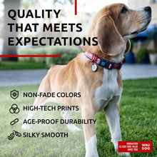 Load image into Gallery viewer, WAUDOG Adjustable Nylon Dog Collar with Durable Plastic Buckle and QR Dog Tag. UNICORNS. MEDIUM For Pet With Love