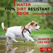 Load image into Gallery viewer, Waterproof Dog Harness Adjustable Dog Harness for Large Dogs Small and Medium For Pet With Love