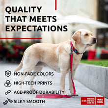 Load image into Gallery viewer, Nylon Dog Leash for Small Dogs and Medium Dogs 4 Ft Strong Dog Leash for For Pet With Love