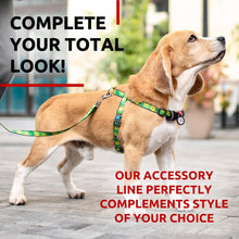 Load image into Gallery viewer, WAUDOG Nylon Dog Leash for Small Dogs and Medium Dogs 4 Ft Strong Dog Leash For Pet With Love