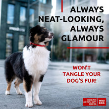 Load image into Gallery viewer, WAUDOG Ultra Soft Rolled Leather Dog Collar for Small Dogs Soft Padded Dog