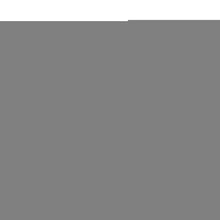 Load image into Gallery viewer, SafetyPUP XD Hi-Visibility Fluorescent Blaze Orange Dog Vest (Medium)