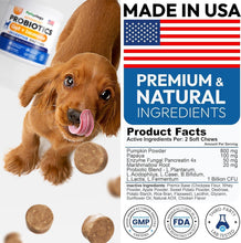 Load image into Gallery viewer, PETSOLOGY Probiotics, Digestive Enzymes & Prebiotics for Dogs. Advanced Supplement helps Itchy Skin and Allergies. Supports Gut Health. Diarrhea, Gas & Constipation Relief (2 Pack) 340 Chews For Pet With Love