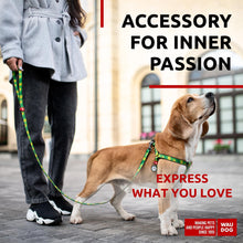 Load image into Gallery viewer, WAUDOG Nylon Dog Leash for Small Dogs and Medium Dogs 4 Ft Strong Dog Leash For Pet With Love