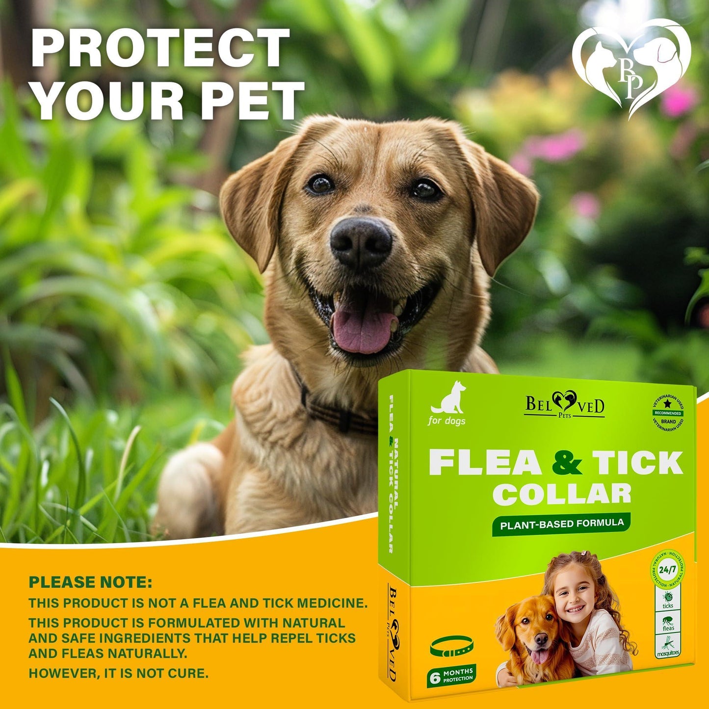 Beloved Pets Natural Anti Fleas and Ticks Essential Oil Repellent Collar for Dogs. 6 Months Control of Best Prevention & Safe Treatment. Pack of 1. For Pet With Love