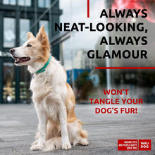 Load image into Gallery viewer, WAUDOG Ultra Soft Rolled Leather Dog Collar MINT MEDIUM For Pet With Love