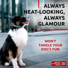 Load image into Gallery viewer, WAUDOG Ultra Soft Rolled Leather Dog Collar for Small Dogs. Soft Padded Dog Collar